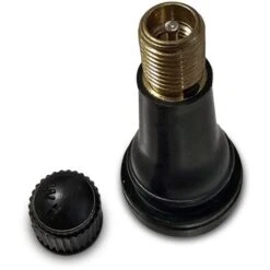 LOT DE 100 VALVES TR413 -Silverols Magasin 24014117 2