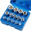 Déstockage Lot De 14 Douilles Torx Femelles E4-E24 E-Torx Hexagonales -Silverols Magasin 74750771 1