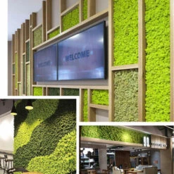 Décoration Murale En Mousse Préservée Véritable Mousse Préservée Aucun Entretien Requis Mousse Naturelle Préservée Pour La Maison, Les Fêtes Murales, Les Festivals, L'artisanat, La Décoration De Burea 11 Décoration Murale En Mousse Préservée Véritable Mousse Préservée Aucun Entretien Requis Mousse Naturelle Préservée Pour La Maison, Les Fêtes Murales, Les Festivals, L'artisanat, La Décoration De Burea -Silverols Magasin 94672489 5